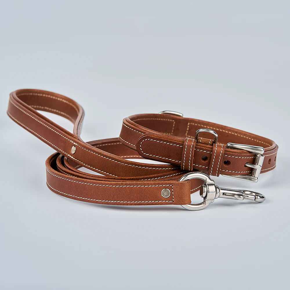 Kodak Bison Collar - Image 11