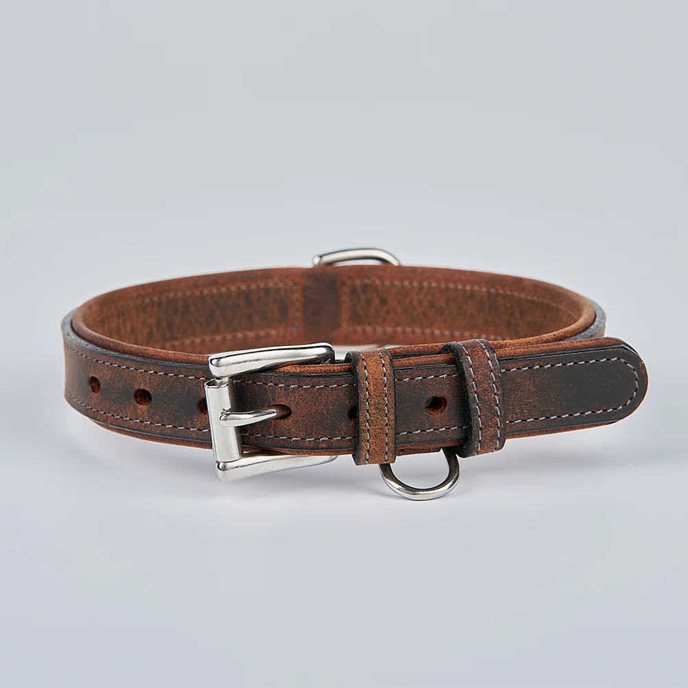 Kodak Bison Collar - Image 13
