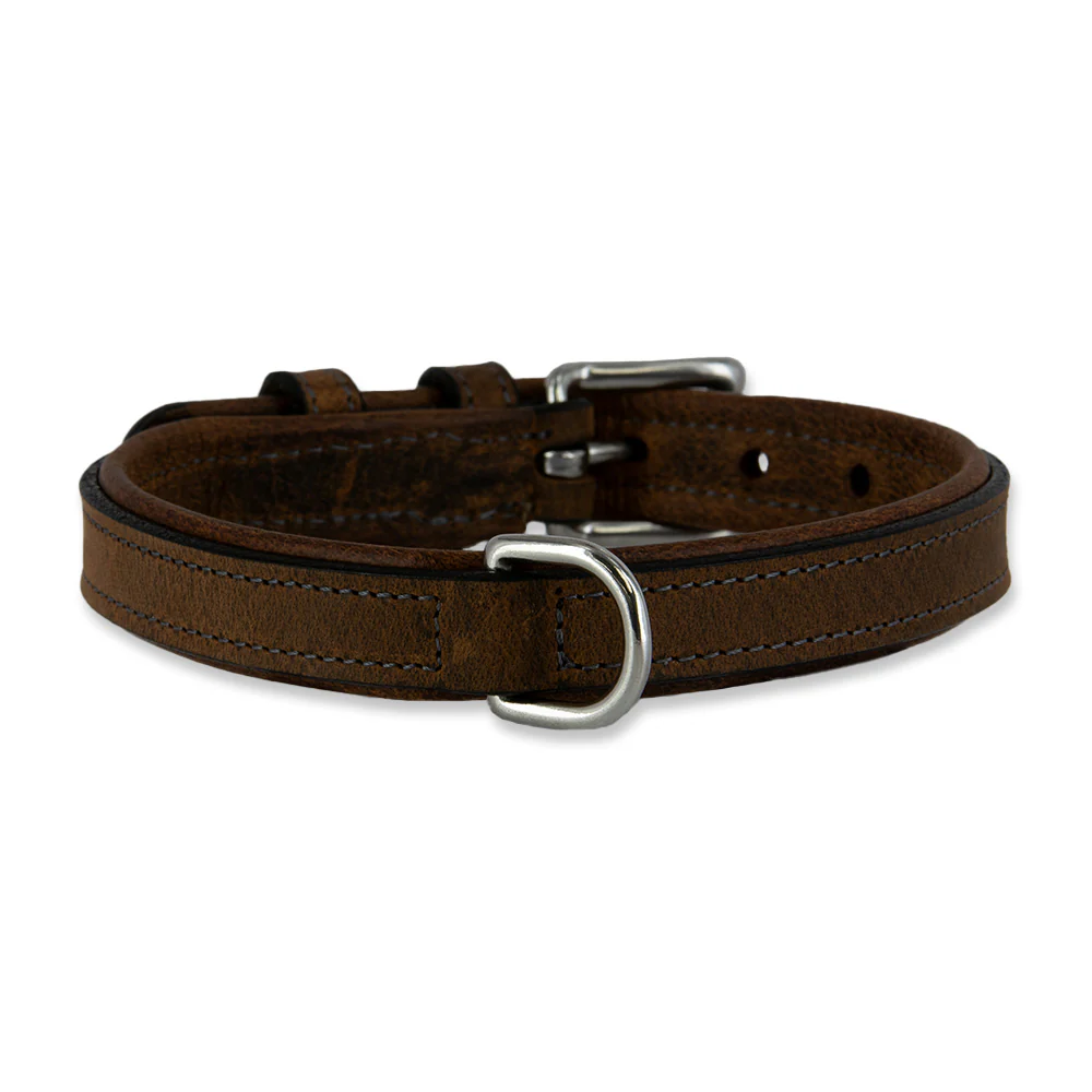 Kodak Bison Collar - Image 5