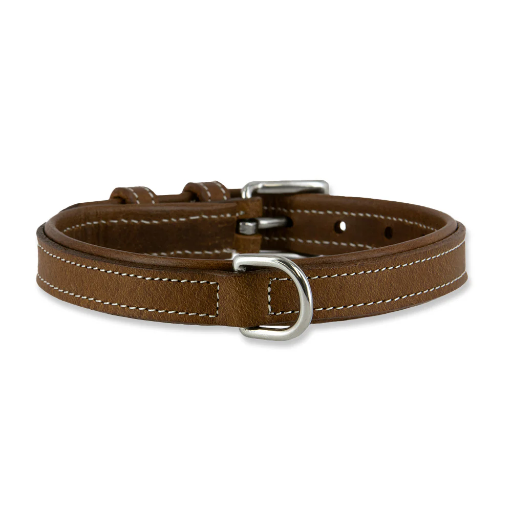 Kodak Bison Collar - Image 7