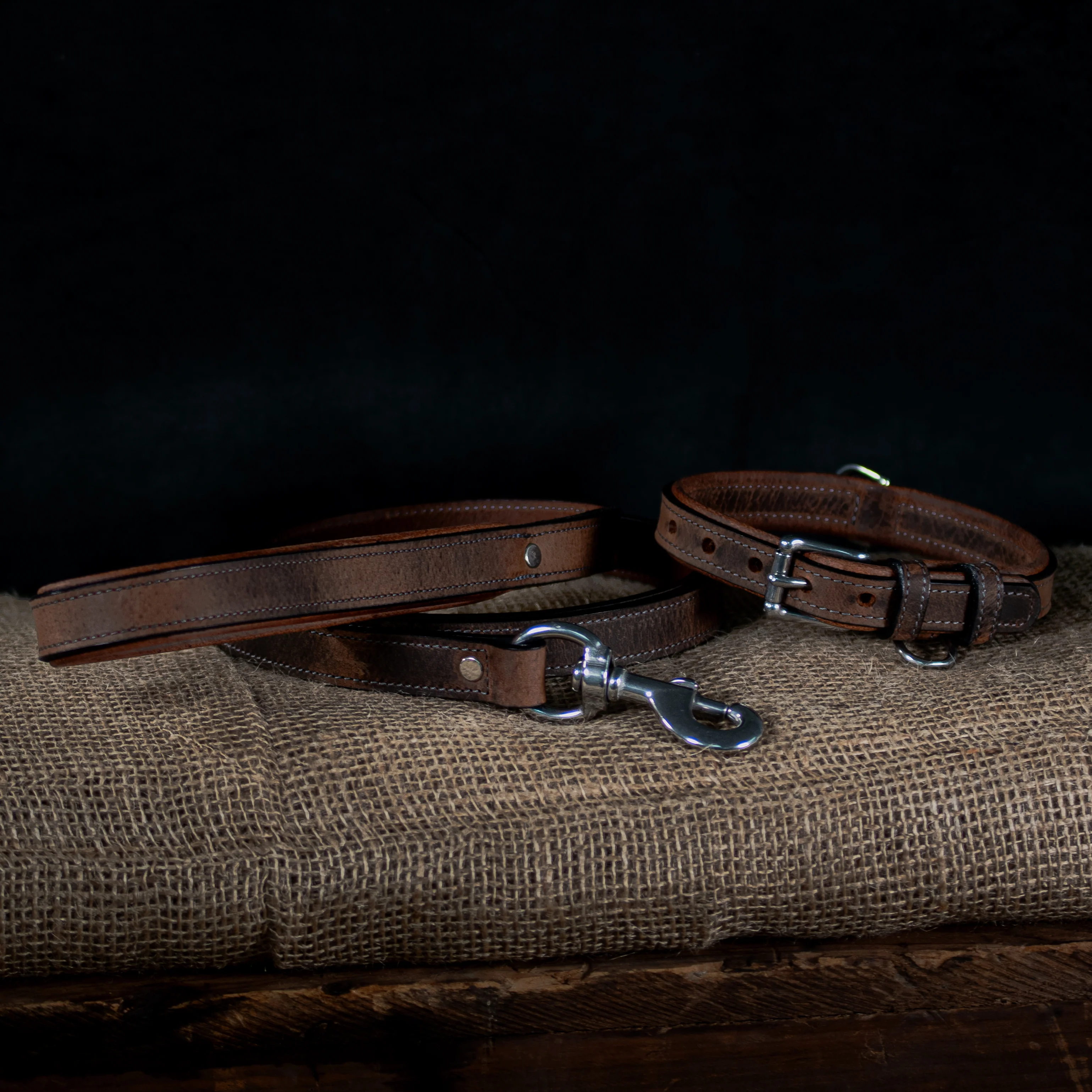 Kodak Bison Collar - Image 8