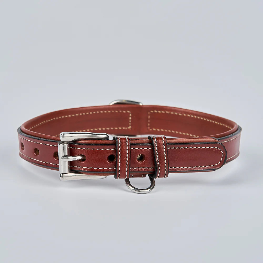 Rover Standard Collar - Image 2