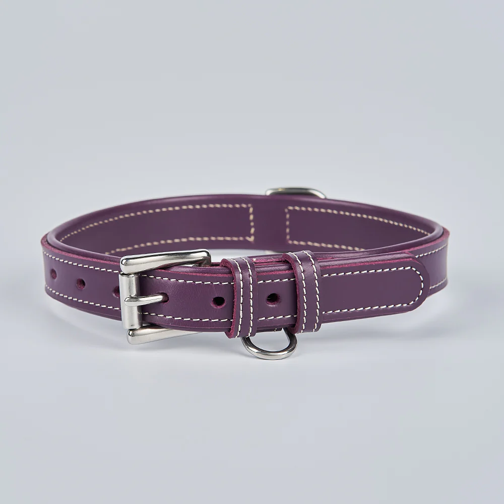 Rover Standard Collar - Image 32