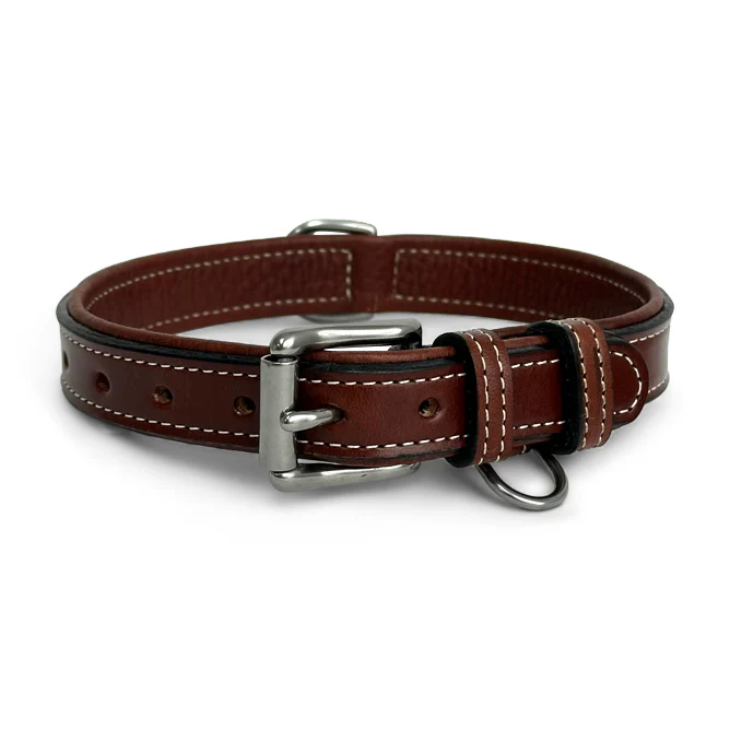 Rover Standard Collar - Image 4