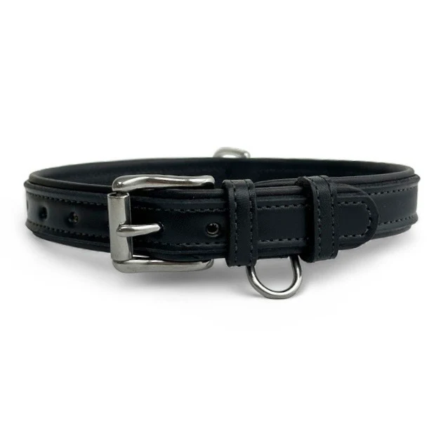 Rover Standard Collar - Image 6