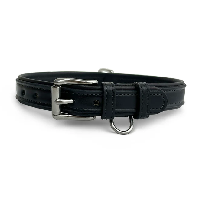 Rover Standard Collar - Image 9