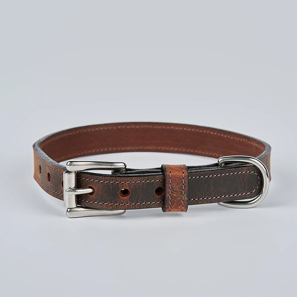 Ollie Bison Collar - Image 7