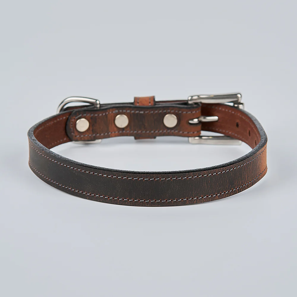 Ollie Bison Collar - Image 9