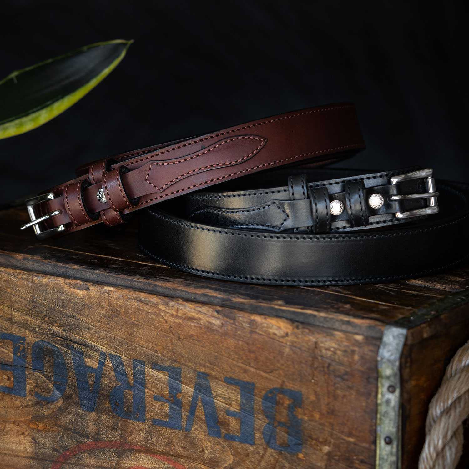 The Ranger - Image 14