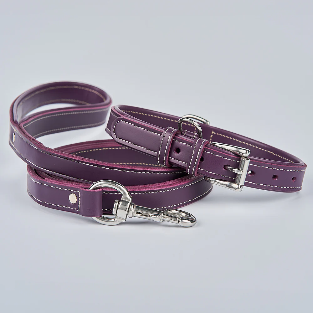 Rover Standard Leash - Image 17