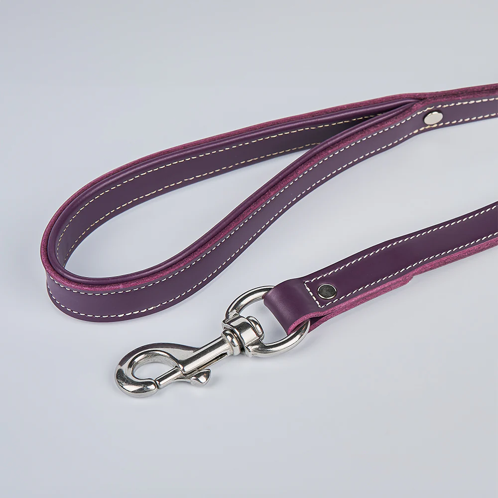 Rover Standard Leash - Image 18